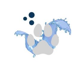 Pet Wash Systems